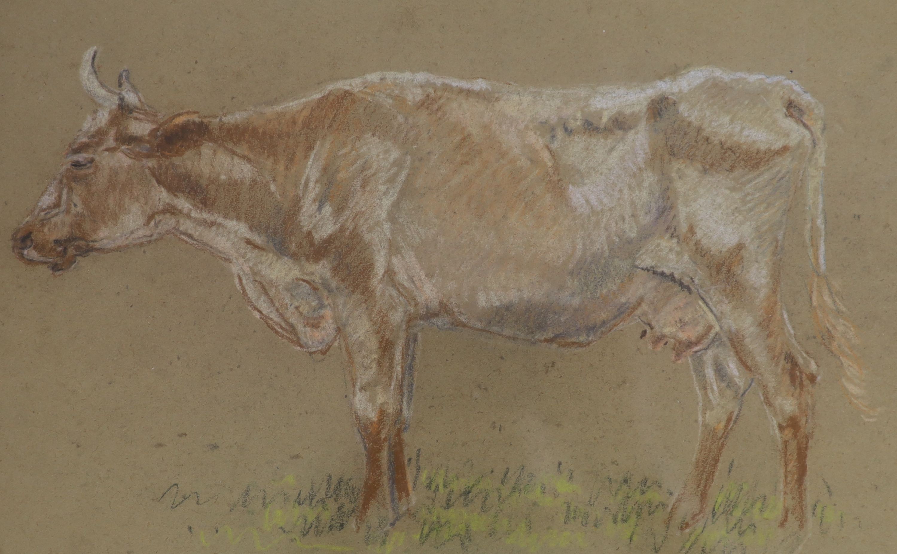 Margaret Fisher Prout (1875-1963), two pastel drawings, Studies of cows, Abbott & Holder labels verso, 23 x 33cm